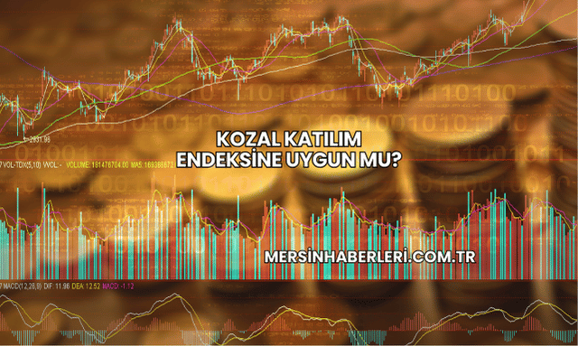 Kozal Katılım Endeksine Uygun mu?