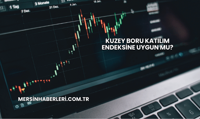 Kuzey Boru Katılım Endeksine Uygun mu?