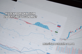 Kuzey Boru Katılım Endeksine Uygun mu?
