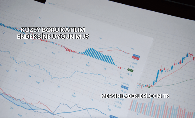 Kuzey Boru Katılım Endeksine Uygun mu?