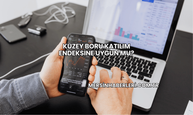 Kuzey Boru Katılım Endeksine Uygun mu?