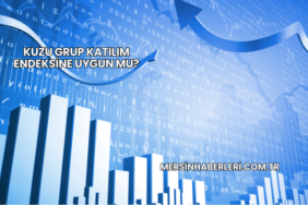 Kuzu Grup Katılım Endeksine Uygun mu?
