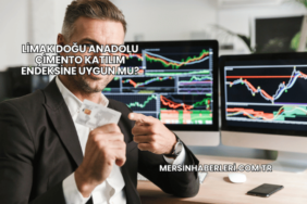 Limak Doğu Anadolu Çimento Katılım Endeksine Uygun mu?