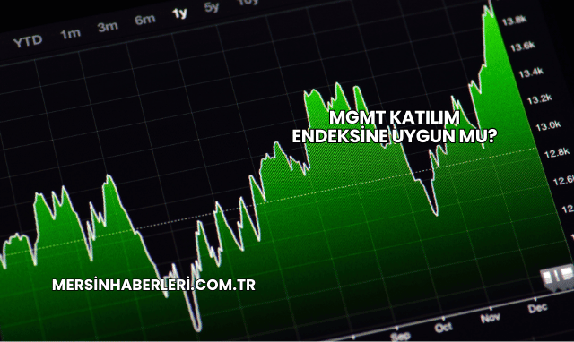 MGMT Katılım Endeksine Uygun mu?