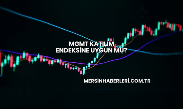 MGMT Katılım Endeksine Uygun mu?