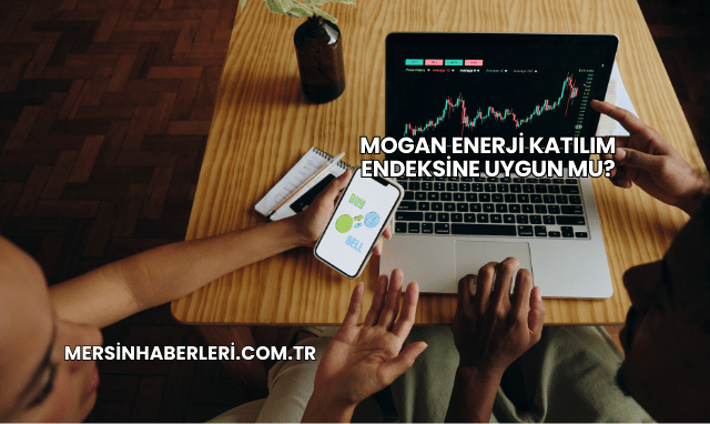 Mogan Enerji Katılım Endeksine Uygun mu?