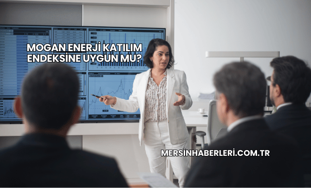 Mogan Enerji Katılım Endeksine Uygun mu?