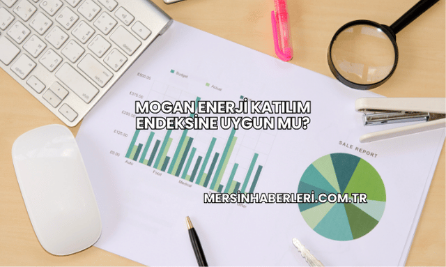 Mogan Enerji Katılım Endeksine Uygun mu?