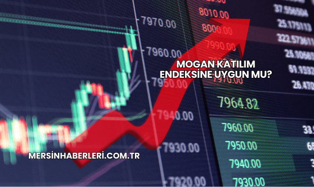 Mogan Katılım Endeksine Uygun mu?