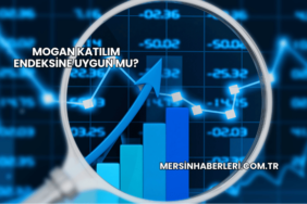 Mogan Katılım Endeksine Uygun mu?