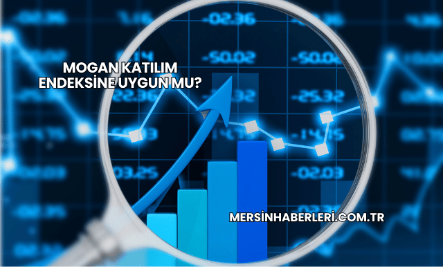 Mogan Katılım Endeksine Uygun mu?