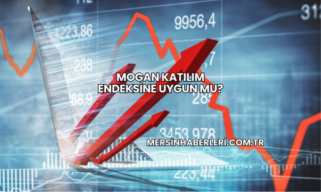 Mogan Katılım Endeksine Uygun mu?