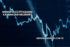 Monopolcü Piyasanın Kaynakları Nelerdir?