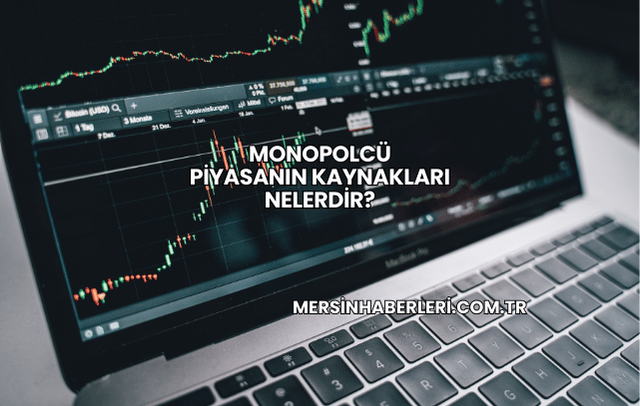 Monopolcü Piyasanın Kaynakları Nelerdir?
