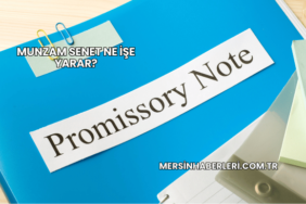Munzam Senet Ne İşe Yarar?