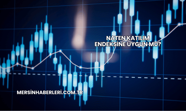 Naten Katılım Endeksine Uygun mu?
