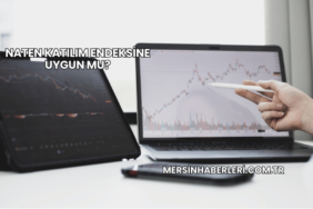 Naten Katılım Endeksine Uygun mu?