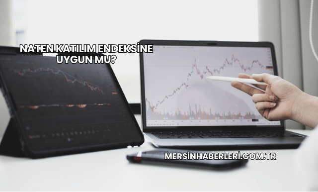 Naten Katılım Endeksine Uygun mu?