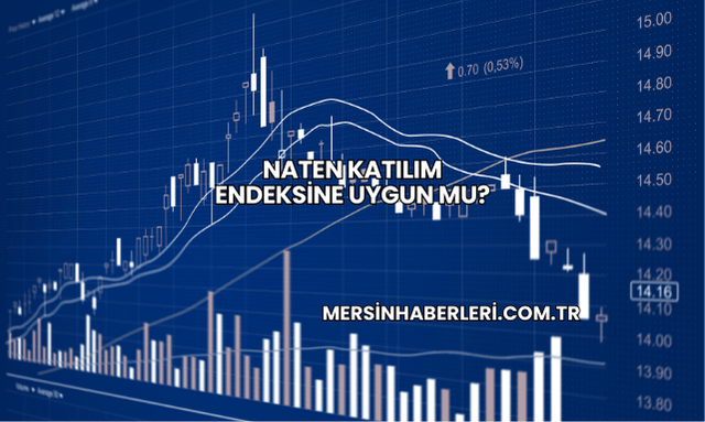 Naten Katılım Endeksine Uygun mu?