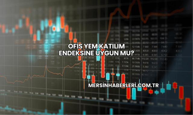 Ofis Yem Katılım Endeksine Uygun mu?