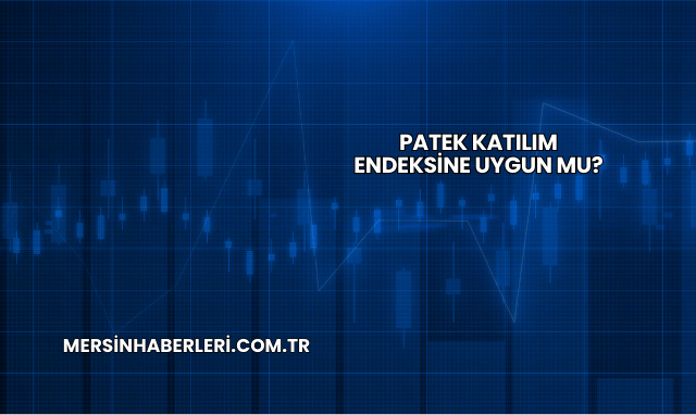 Patek Katılım Endeksine Uygun mu?