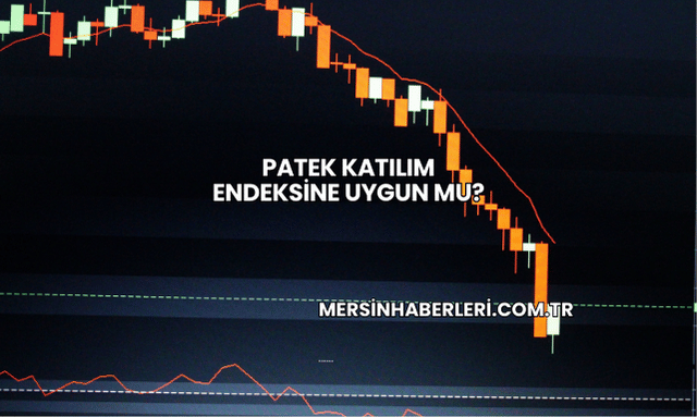 Patek Katılım Endeksine Uygun mu?