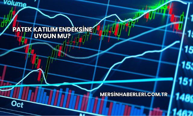 Patek Katılım Endeksine Uygun mu?