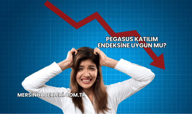 Pegasus Katılım Endeksine Uygun mu?