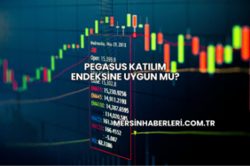Pegasus Katılım Endeksine Uygun mu?