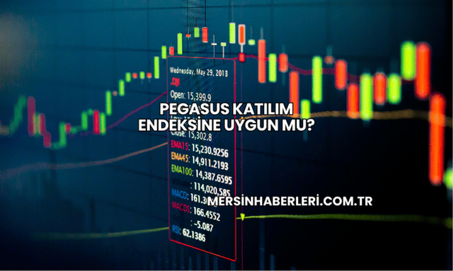 Pegasus Katılım Endeksine Uygun mu?