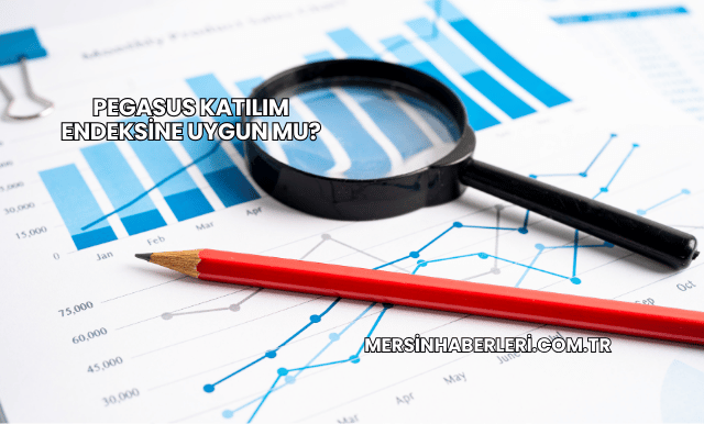 Pegasus Katılım Endeksine Uygun mu?