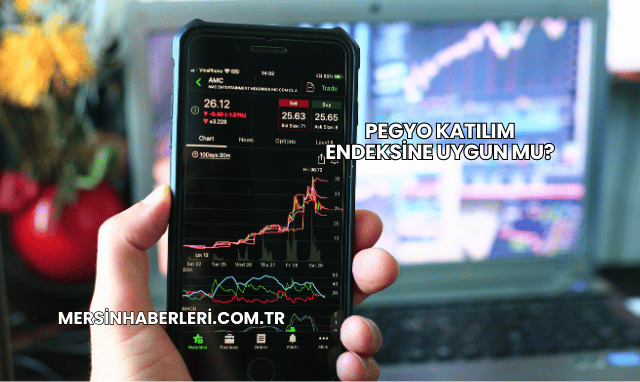 Pegyo Katılım Endeksine Uygun mu?