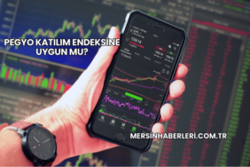 Pegyo Katılım Endeksine Uygun mu?