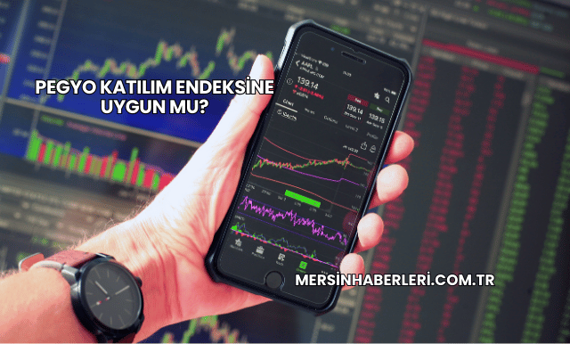 Pegyo Katılım Endeksine Uygun mu?