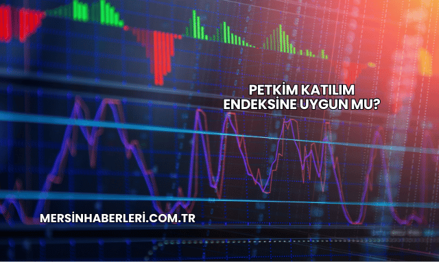 Petkim Katılım Endeksine Uygun mu?