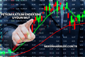 Petkim Katılım Endeksine Uygun mu?