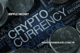 Ripple Nedir?