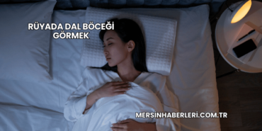 Rüyada Dal Böceği Görmek