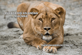 Rüyada Dişi Aslandan Kaçmak