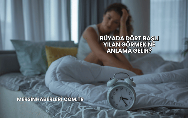 Rüyada Dört Başlı Yılan Görmek Ne Anlama Gelir?