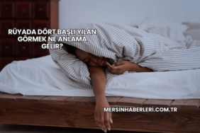 Rüyada Dört Başlı Yılan Görmek Ne Anlama Gelir?