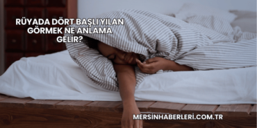 Rüyada Dört Başlı Yılan Görmek Ne Anlama Gelir?