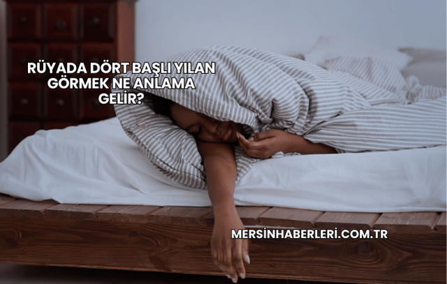 Rüyada Dört Başlı Yılan Görmek Ne Anlama Gelir?