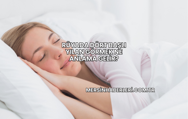 Rüyada Dört Başlı Yılan Görmek Ne Anlama Gelir?