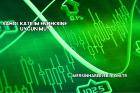 SAHOL Katılım Endeksine Uygun mu?