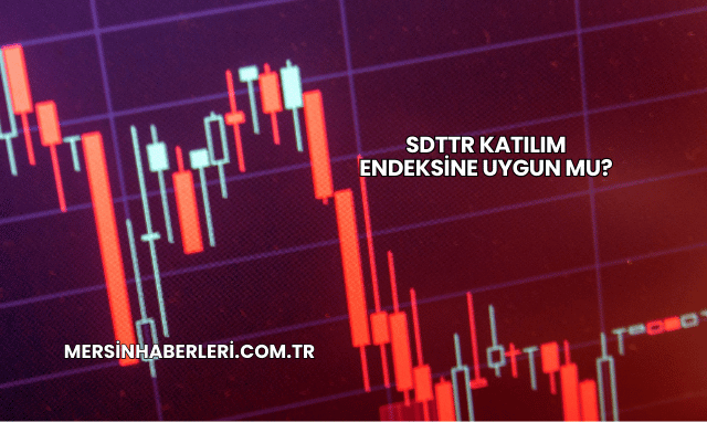SDTTR Katılım Endeksine Uygun mu?