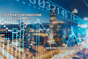 SDTTR Katılım Endeksine Uygun mu?