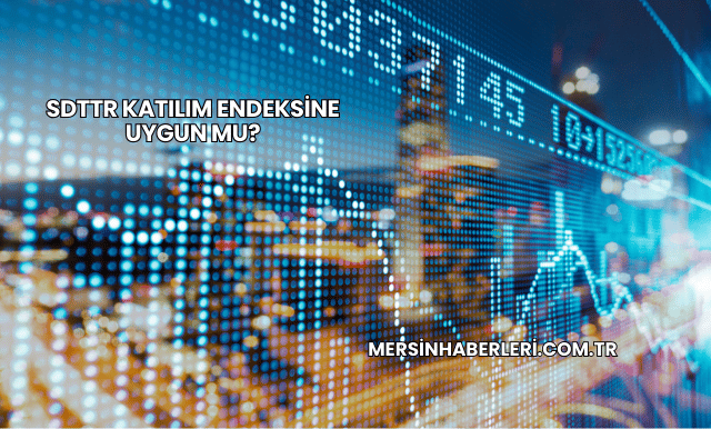 SDTTR Katılım Endeksine Uygun mu?