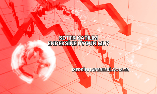 SDTTR Katılım Endeksine Uygun mu?