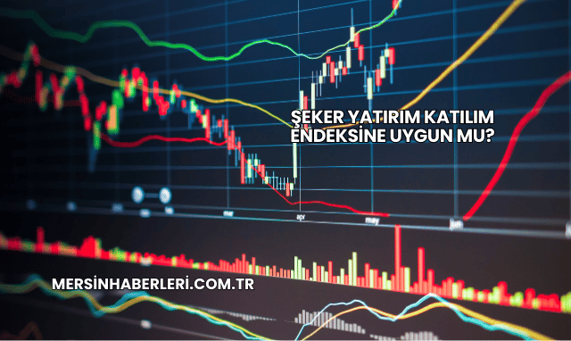 Şeker Yatırım Katılım Endeksine Uygun mu?